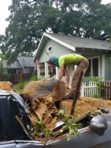 Arborist removing fallen tree trunk from top of grey car
