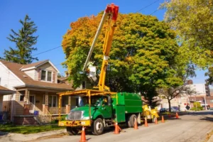 Green tree removal truck crane