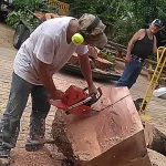 Arborist cutting through tree stump with chainsaw