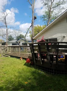 Arborist removing tree branch from back deck