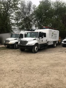 Two tree removal trucks